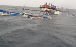 Tàu Philippines bị đâm được VN cứu: TQ nói lý do tàu cá bỏ mặc ngư dân gặp nạn