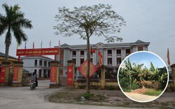 UBND tỉnh Hưng Yên chỉ đạo "nóng" vụ việc tại xã Phạm Ngũ Lão
