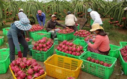 Bộ NNPTNT đề nghị Trung Quốc tạo thuận lợi cho xuất khẩu nông sản