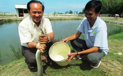 Ông Bí thư huyện ủy có “máu” nông dân