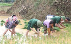 Bản San khoác áo mới