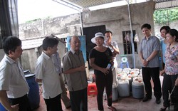 Liên kết sản xuất nông nghiệp theo chuỗi giá trị