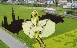 Tròn mắt ngắm &#34;Marilyn Monroe khổng lồ&#34; tung váy giữa đồng lúa Nhật Bản