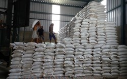 Bác tin 30.000 tấn gạo xuất Trung Quốc bị mốc, hỏng