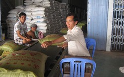 Xuất khẩu gạo khởi sắc nhờ giá... rẻ nhất thế giới ?
