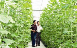 Doanh nghiệp với nông nghiệp