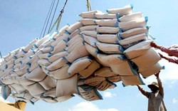 Xuất khẩu gạo: Vừa “ngủ quên”, vừa “nổ”