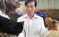 Thành tỷ phú ở tuổi 30 nhờ mô hình nuôi chim hoang dã
