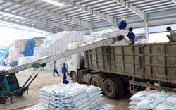 Lâm Thao dẫn đầu thị trường phân lân
