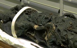 Hé lộ xác ướp công chúa Ai Cập 2 đầu: Một đầu người, một đầu cá sấu