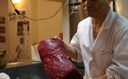 Đấu giá thịt cá voi tàu Nhật Bản lần đầu tiên đi săn được sau 31 năm