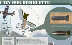 Lazy Dog - Mưa đạn đáng sợ trên chiến trường Việt Nam