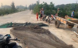 Nguyên nhân bất ngờ khiến hàng tấn cá chết trắng suốt 4km ở bờ biển Hà Tĩnh