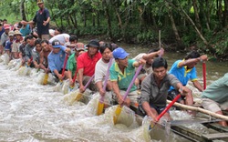 Háo hức chờ đón Festival Đua ghe ngo