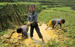 Bắt chạch  