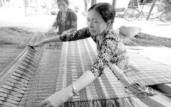 Diên Khánh &#40;Khánh Hòa&#41;: Nỗ lực để năm 2016  là huyện nông thôn mới