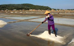 Vẻ đẹp cánh đồng muối Sa Huỳnh