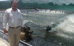 Nuôi tôm trên đất quy hoạch, HTX tiên tiến nguy cơ “chết yểu”
