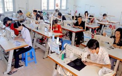 3.000 lao động nông thôn được đào tạo nghề ở Bắc Kạn