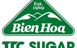 SBT: Tổng tài sản đạt 17.693,6 tỷ đồng, tăng 9.945,3 tỷ đồng so với đầu kỳ