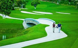 Không sử dụng đất trồng lúa màu mỡ làm sân golf