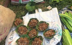 Chịu đau đớn tìm con cắn "điếng người", đem về làm ra món giá 400.000 đồng/kg