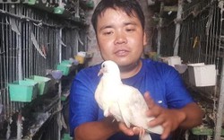 9X tật nguyền và bí quyết nuôi chim bồ câu kiếm hàng trăm triệu/năm