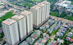 Hà Nội: Xử lý hàng loạt cán bộ, tổ chức liên quan đến sai phạm