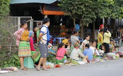 Yên Bái: La liệt đặc sản núi rừng, thuốc Nam quý ở chợ "5 nghìn"
