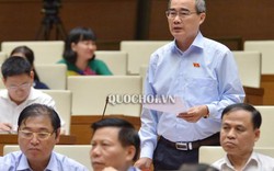 Bí thư Nguyễn Thiện Nhân mang sách ra dẫn chứng trước Quốc hội