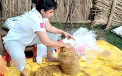 Treo bọc nilon lủng lẳng có ngay thứ "đẻ tiền" ầm ầm, cả nhà "hốt" 30 triệu/tháng