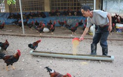 10 năm nông thôn mới: Sơn Tây đổi thay khi dân đồng thuận