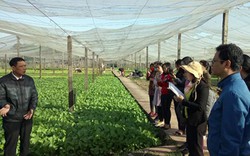 Cán bộ khuyến nông học trồng rau VietGAP