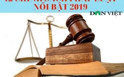 12 chính sách pháp luật quan trọng có hiệu lực năm 2019 (phần 1)