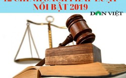 12 chính sách pháp luật nổi bật có hiệu lực năm 2019 (phần 2)