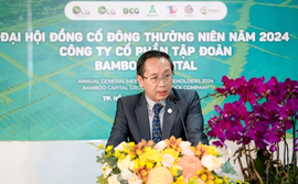Vì sao ghế chủ tịch Bamboo Capital được chuyển cho doanh nhân nước ngoài?