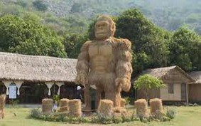 Mãn nhãn mô hình King Kong bằng rơm và cỏ tranh siêu to tại Tây Ninh