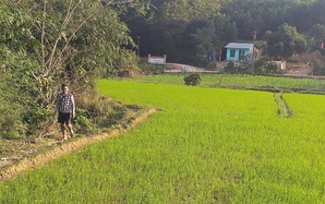 Hai hộ dân mới nhất viết đơn xin ra khỏi danh sách hộ nghèo ở một nơi xa xôi của Quảng Bình 