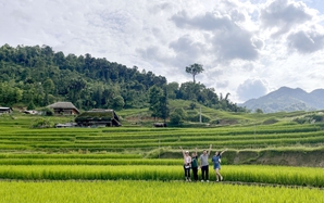 Một thôn ở Hà Giang cảnh sắc, núi non, đồng ruộng đẹp mê tơi kiểu gì mà người ta đang đến xem?