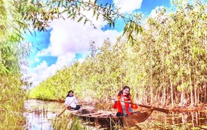 Huyện U Minh của tỉnh Cà Mau: Ở xứ rừng, con cá, cọng rau…mỗi thứ một ít, nhưng ngày nào cũng có
