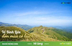 Về Bình Liêu đón mùa cỏ lau