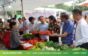 Nhịp sống nông thôn mới ngày 11/10/2024