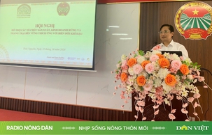 Nhịp sống nông thôn mới ngày 25/10/2024