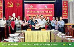 Nhịp sống nông thôn mới ngày 15/11/2024