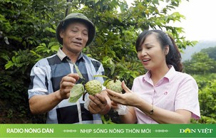 Nhịp sống nông thôn mới ngày 22/03/2024