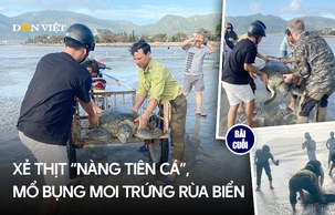 Xẻ thịt “nàng tiên cá”, mổ bụng moi trứng rùa biển (Bài cuối): Chiến dịch truy quét “rùa tặc” và “trứng tặc” 