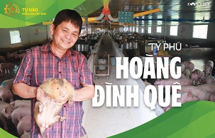 Tỷ phú Hoàng Đình Quê: Từ ước mơ chinh phục núi Cô Tiên đến nông dân Việt Nam xuất sắc