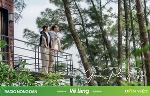 Green Pine Resort – Khu nghỉ dưỡng “XANH” giữa rừng thông trăm tuổi 