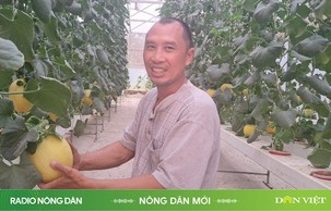 Nông dân mới ngày 16/06/2024