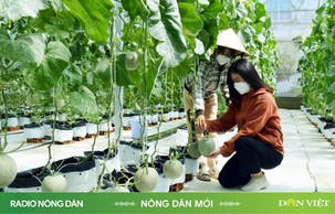 Nông dân mới ngày 05/06/2024